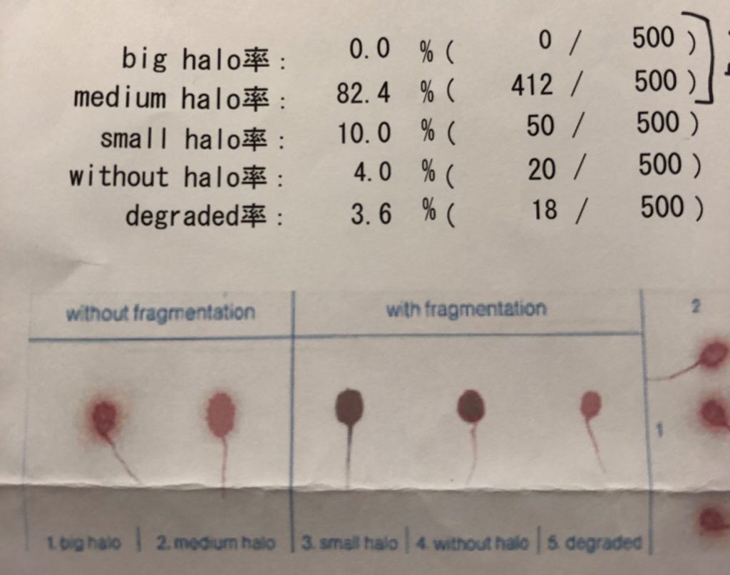 halo-sperm-test